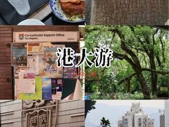 -香港大学