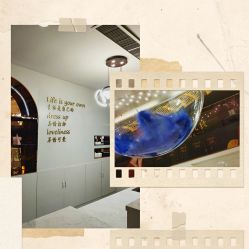 -石家庄苏亚美联臣医疗美容医院