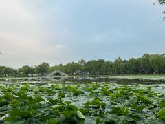 -长春市南湖公园