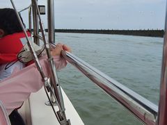 -日照世帆赛基地