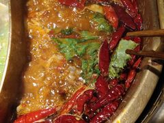 -小龙坎老火锅(北京三里屯店)