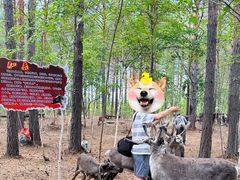 -北极村旅游风景区