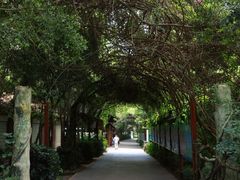 -野象谷景区
