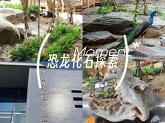 -中国第四纪冰川遗迹陈列馆