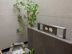-鲁班张葱烧海参(马庄街店)
