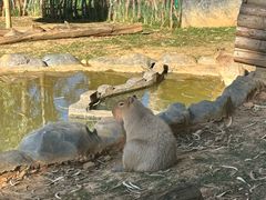 -云南野生动物园