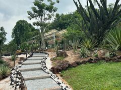 -新加坡植物园