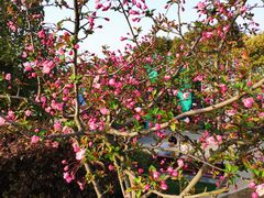 -南京市江宁方山