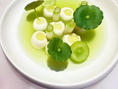 -Tomacado花厨(One ITC店)