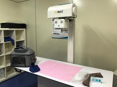 -北京观赏动物医院·24小时大型综合·猫专科·异宠专科