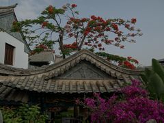 -朱家花园