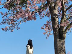 -风云岭森林公园