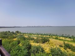 -天津东丽湖风景区