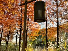 -梁鸿国家湿地公园