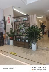 -森林头疗美容养发馆