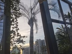 -庄子梦然·城市微度假·24h按摩·推拿·spa