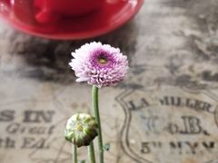 -湖北味道(湖北大厦店)