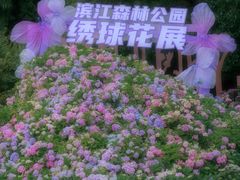 -上海滨江森林公园