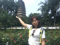 -陕西自然博物馆