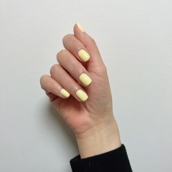 -BELLAREAL新美社