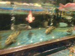 -龙宴海鲜城(经中路店)