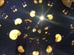 -青岛贝壳博物馆