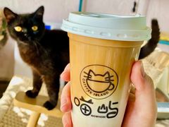 -喵屿·大理花园猫咖