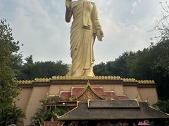 -西双版纳勐泐文化旅游区