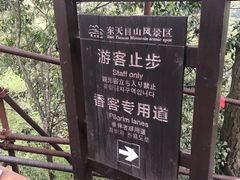 -天目山-昭明禅寺
