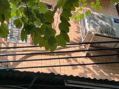 -荔園 LaiYuen