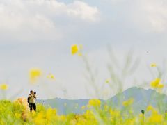 -光明小镇欢乐田园