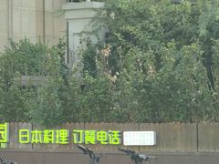 -森味薪火烧•烧鸟居酒屋•日本料理(望京店)