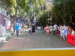 -海南分界洲岛旅游区