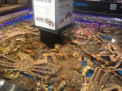 -盒马鲜生(岭南新世界店)