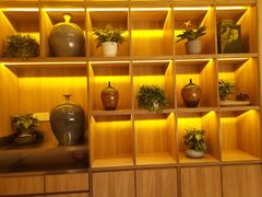 -润园四季椰子鸡火锅(南山海岸城店)