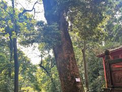 -凤栖山