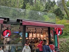 -茶颜悦色(岳麓山顶店)