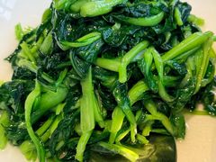清炒鸡毛菜-川旺角融合菜•海景餐厅(星海广场店)