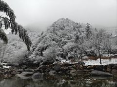 -安吉龙王山风景区