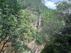 -茅兰沟国家森林公园