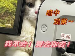 -谐和益家动物医院·免疫绝育·血液透析·宠保定点医院(高新伊藤分院)