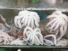 -四海鲜渔家菜(黄金海岸店)