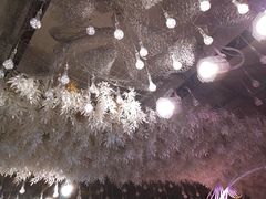 -王府井酒店(金桥港湾店)