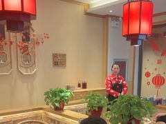 -鸽子窝(宋庄店)