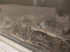 -呼吸森林·生态农庄农家乐私房菜