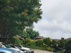 -观澜湖高尔夫球会