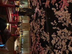 -蓝鲸湾汤泉(包河店)