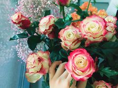 -Butchart布查德鲜花(花艺设计中心)