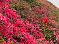 -木兰云雾山