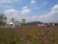 -光明小镇欢乐田园